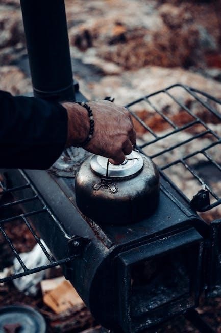 warm morning gas heater manual